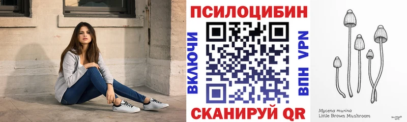 Галлюциногенные грибы Magic Shrooms  Астрахань 