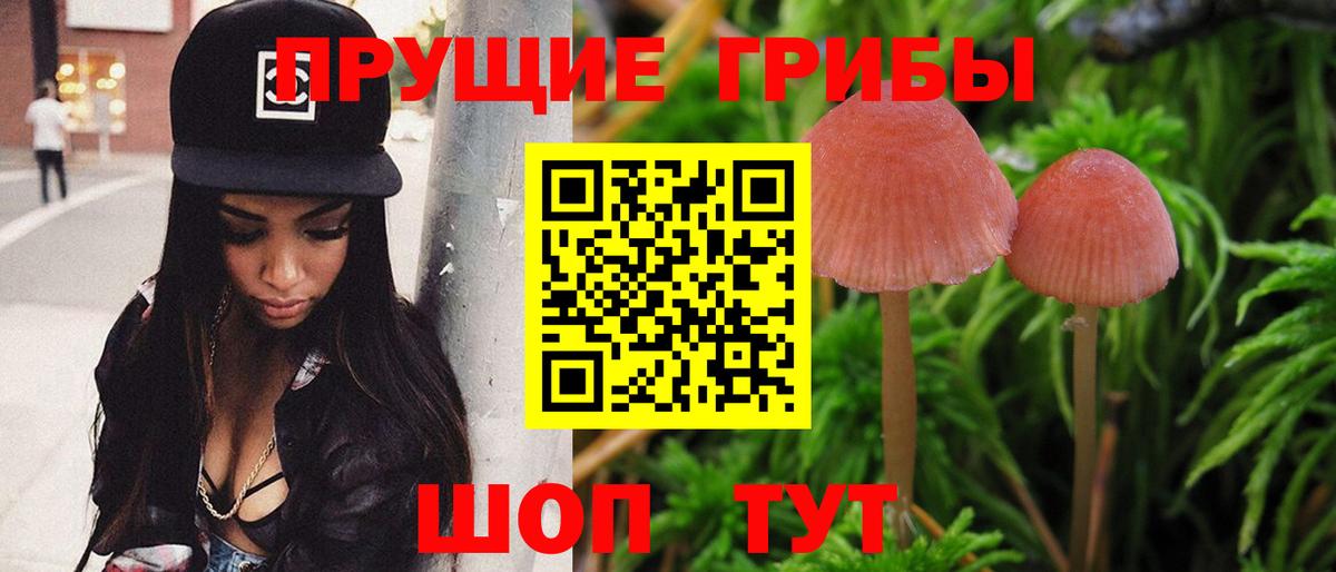 Псилоцибиновые грибы прущие грибы Астрахань