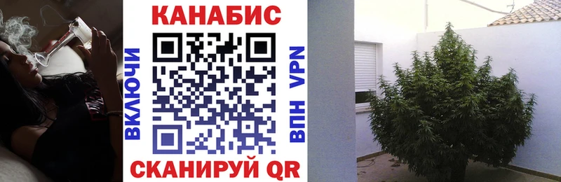 ОМГ ОМГ ссылка  продажа наркотиков  Астрахань  Марихуана THC 21% 